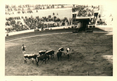 Foto prt lissabon - prt, 1937