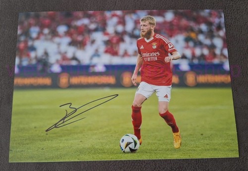 Niklas beste benfica - niklas,