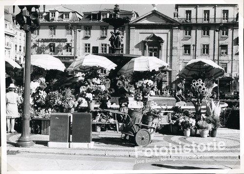 Foto lissabon blumenmarkt - lissabon,